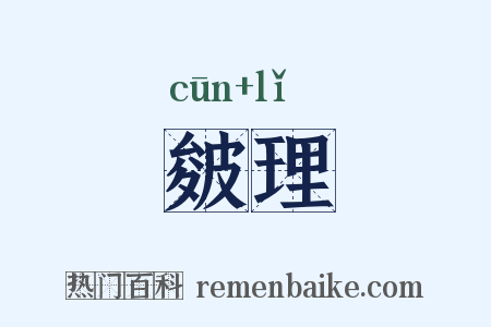 皴理是什么意思的图片